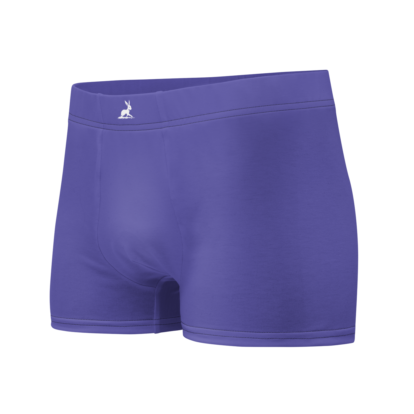 Purple Boxers Briefs with seamless back and lined front pouch.