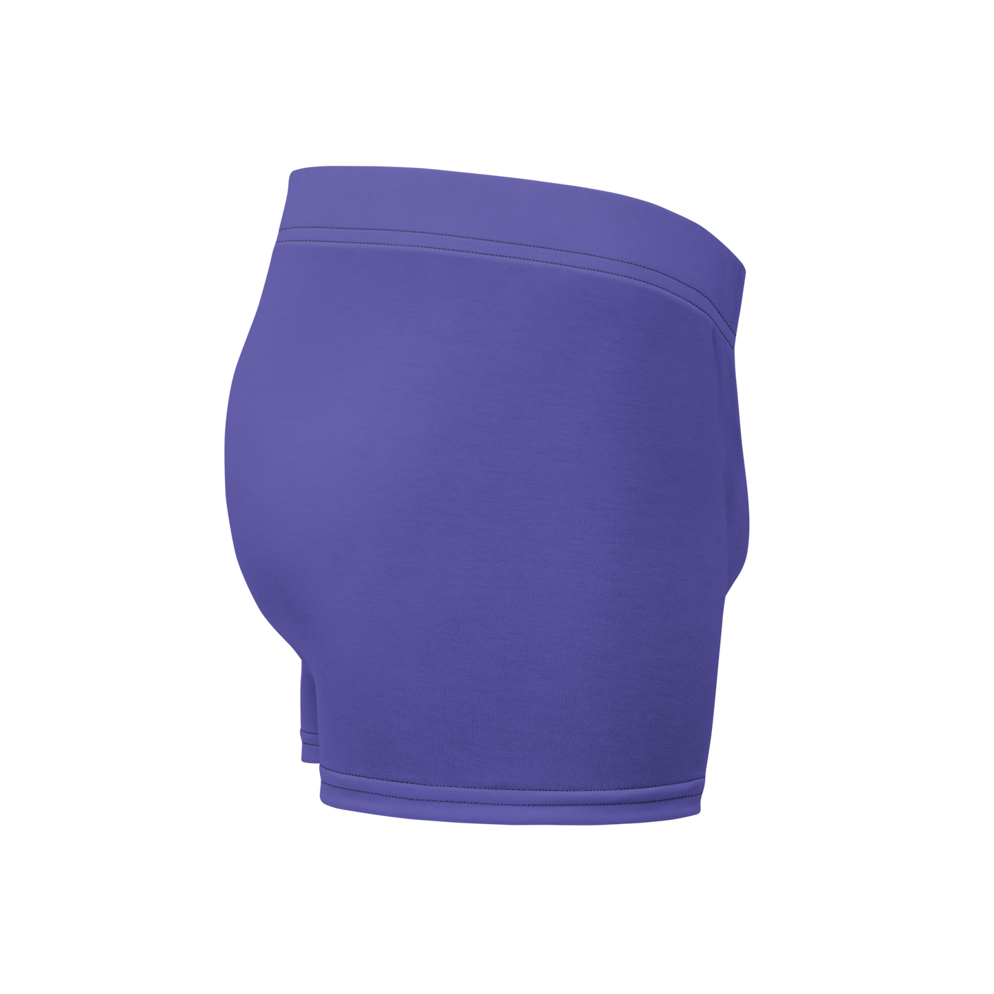 Purple Boxers Briefs with lined front pouch and wide waistband.