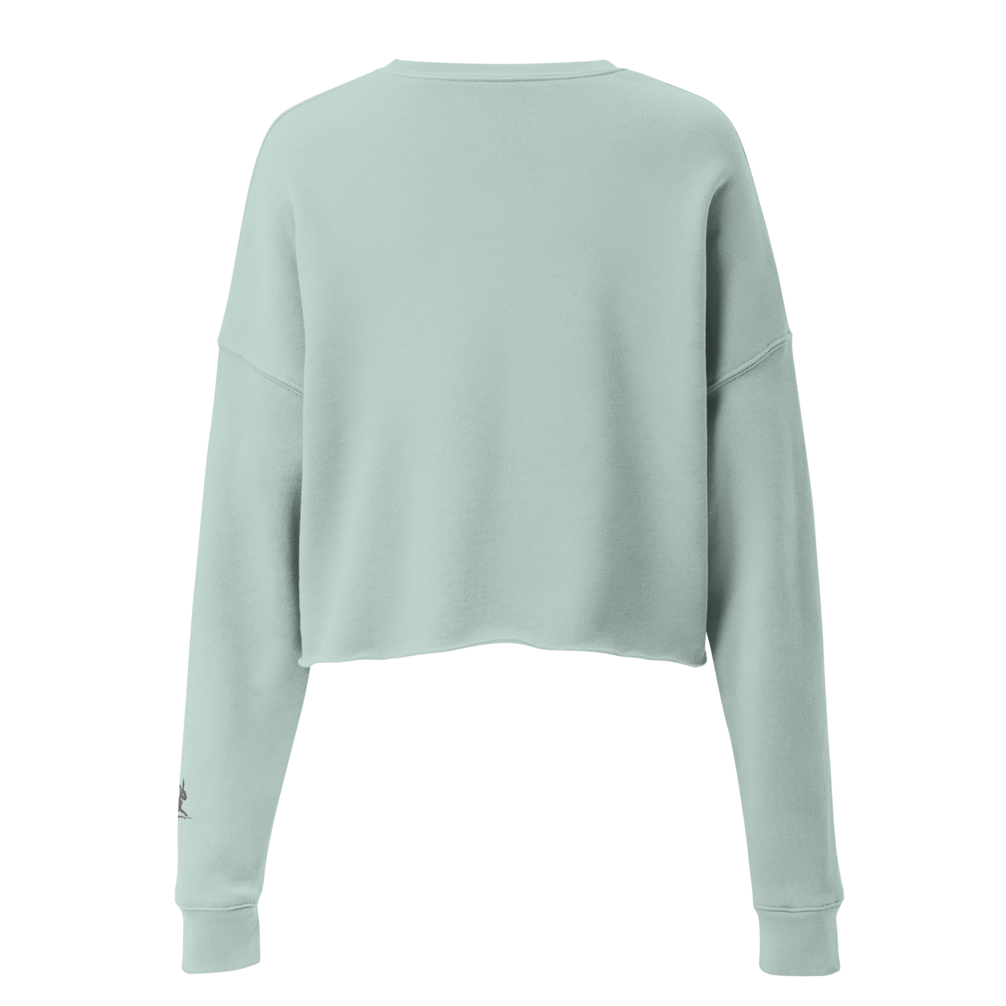 Linea Dance Sweatshirt showcasing its relaxed cropped design with ribbed details.