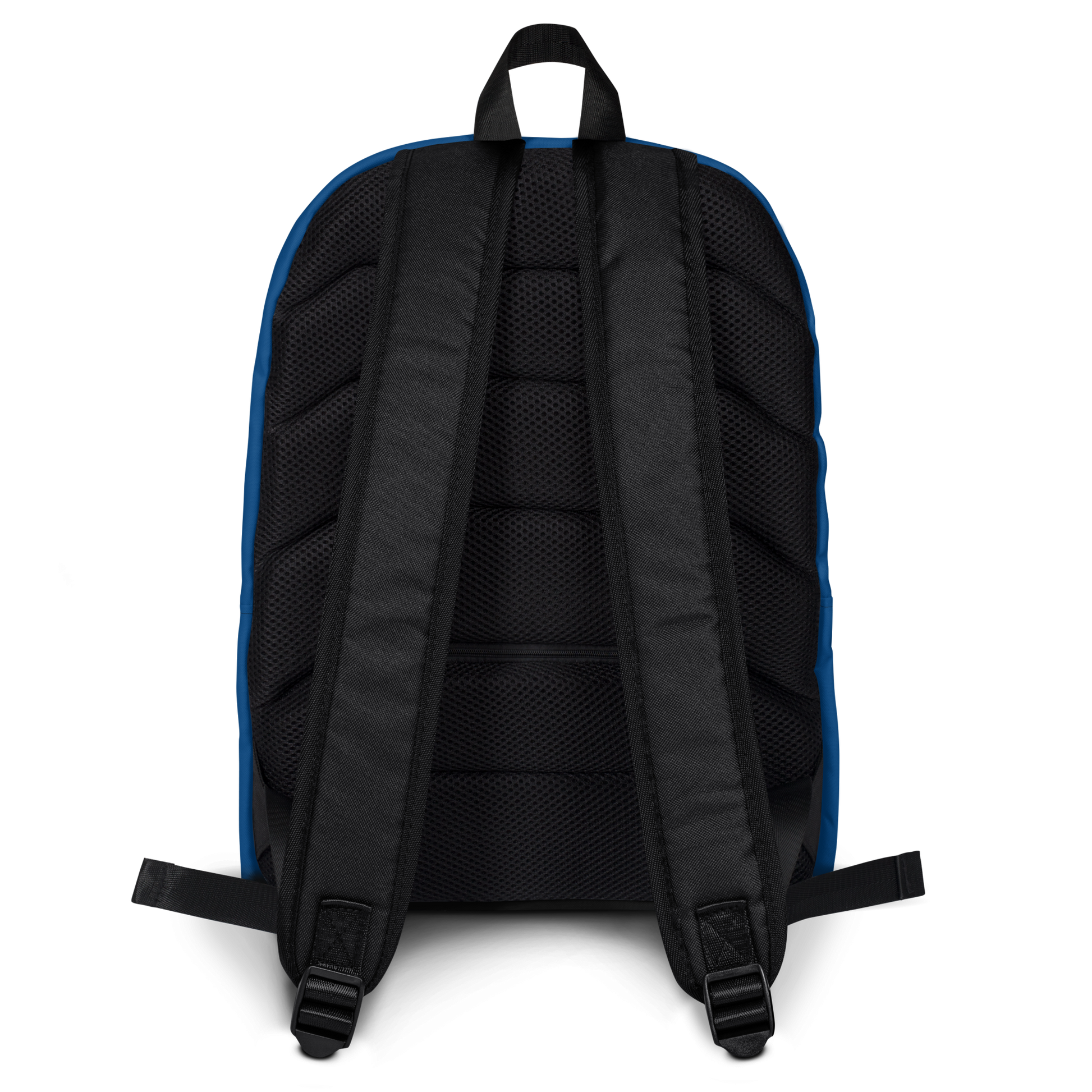 Back of Blue Backpack with ergonomic straps and multiple pockets.