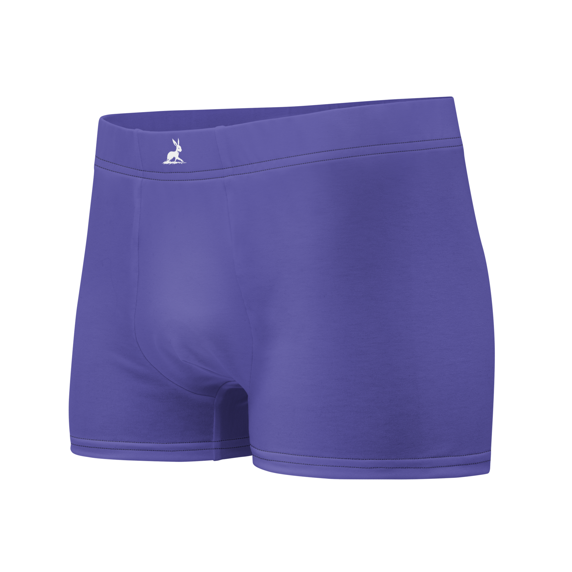 Purple Boxers Briefs with seamless back and lined front pouch.