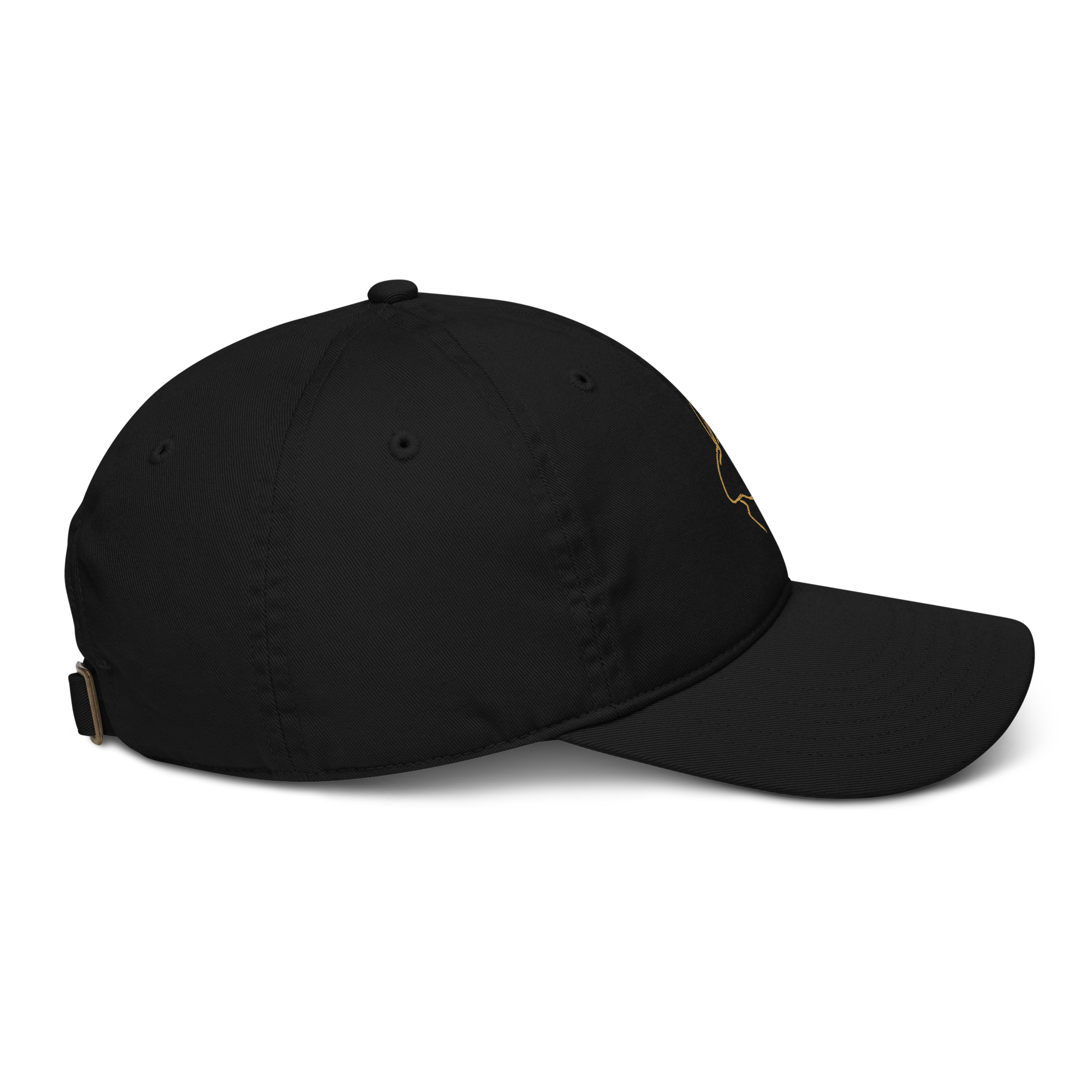 Quiet Cap