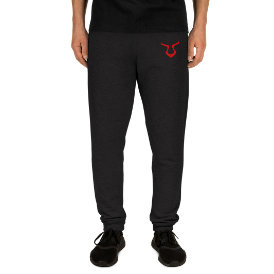 Close-up of V - Joggers showcasing sleek tapered fit and red logo.