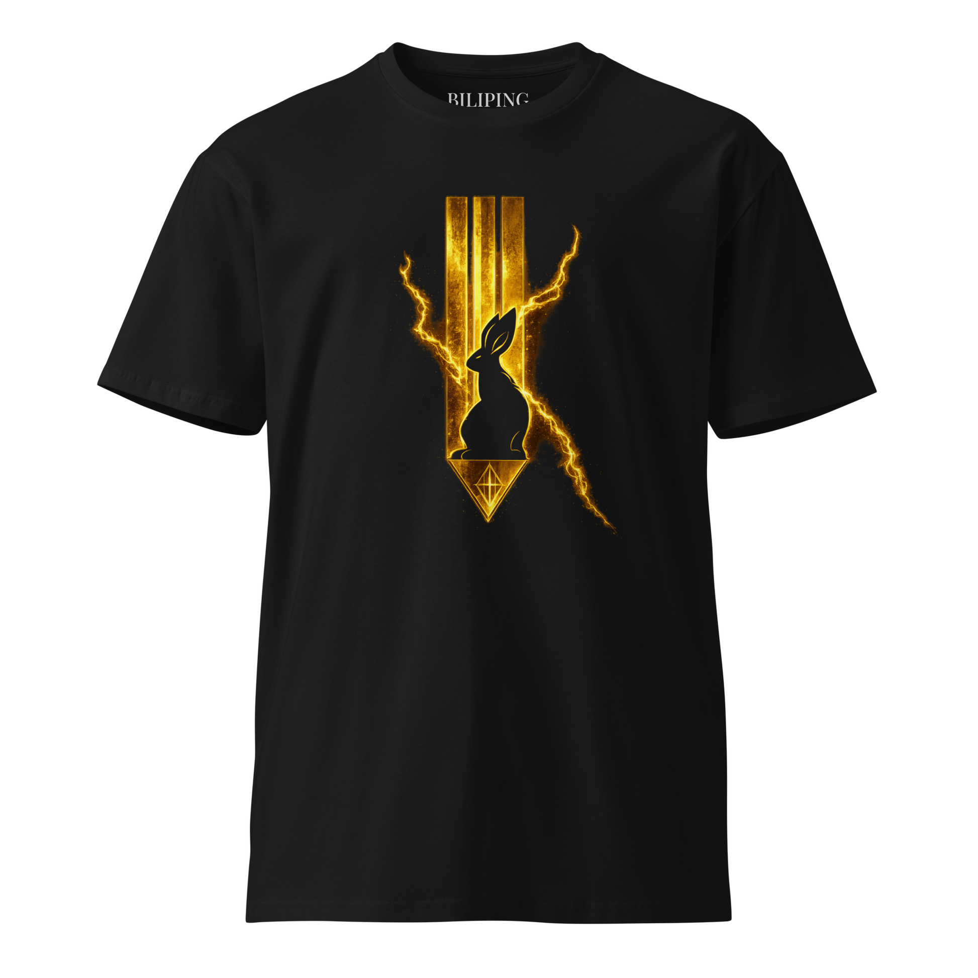 Unisex premium t-shirt