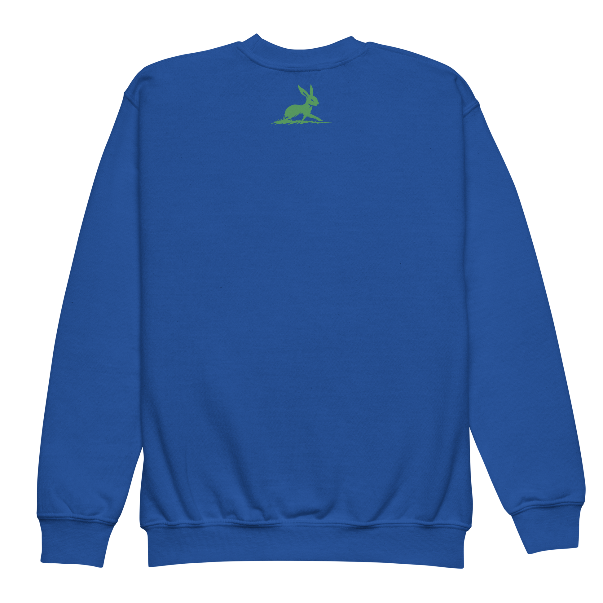 Friendly Dino Sweatshirt: Cozy fleece for kids' adventures.